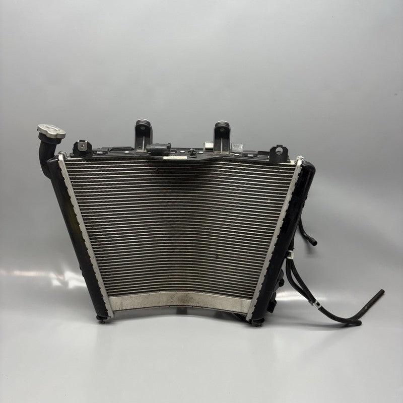 8356804 BMW S1000R RADIATOR WITH FAN 2020 2021 2022 2023 2024 2025 OEM 8356804