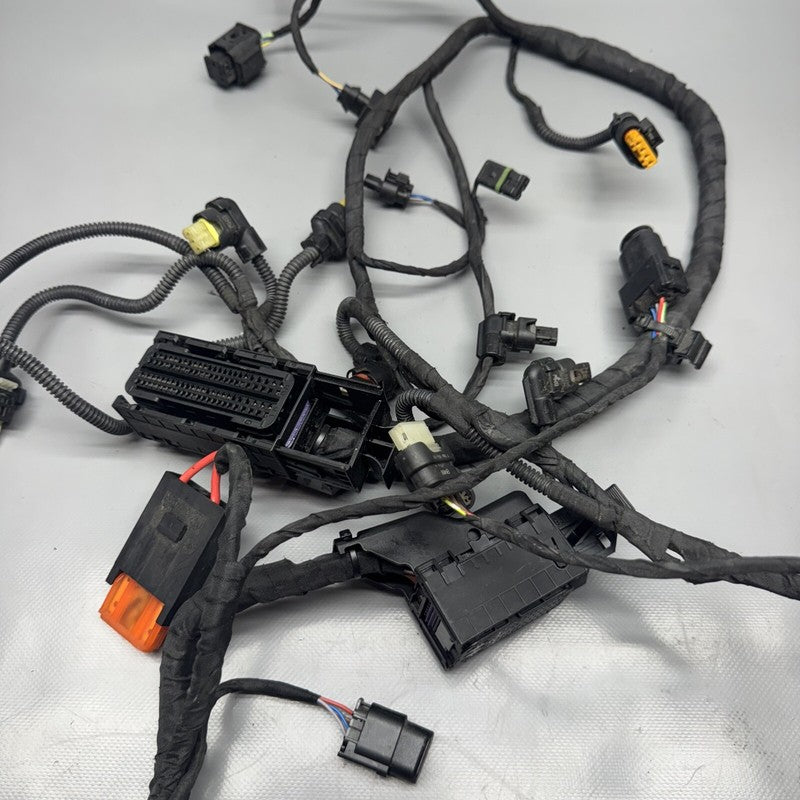 1692821 BMW F900R MAIN ENGINE HARNESS 2020 2021 2022 2023 2024 OEM 1692821
