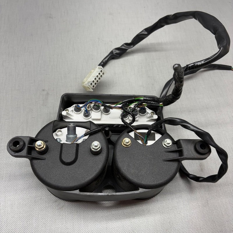 R1150RS BMW R1150RS SPEEDOMETER CLUSTER 2002 2003 2004 2005 2006 OEM