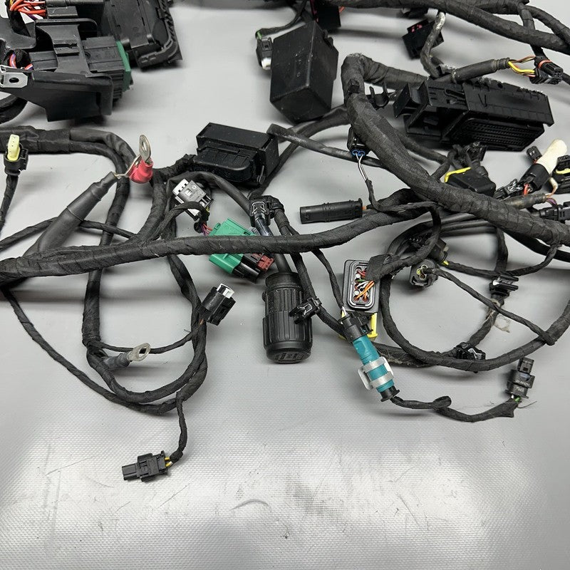 C 650 EVOLUTION BMW C 650 EVOLUTION MAIN WIRING HARNESS 2015 2016 2017 2018 OEM