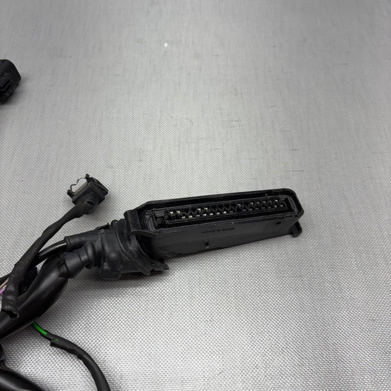 R1150RS BMW R1150RS MAIN ENGINE HARNESS 2002 2003 2004 2005 2006 OEM
