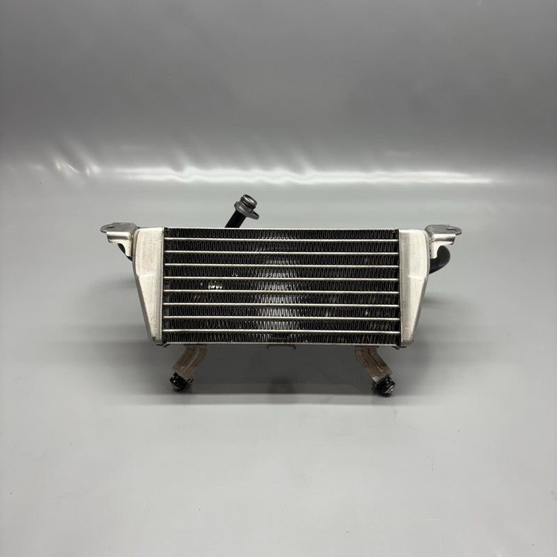 8356805 BMW S1000R OIL COOLER 2020 2021 2022 2023 2024 2025 OEM 8356805