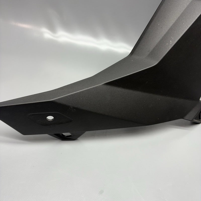 8393625 BMW S1000R LEFT SIDE FAIRING PANEL 2020 2021 2022 2023 2024 2025 OEM 8393625