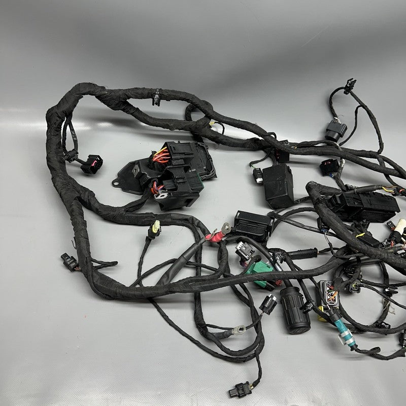 C 650 EVOLUTION BMW C 650 EVOLUTION MAIN WIRING HARNESS 2015 2016 2017 2018 OEM