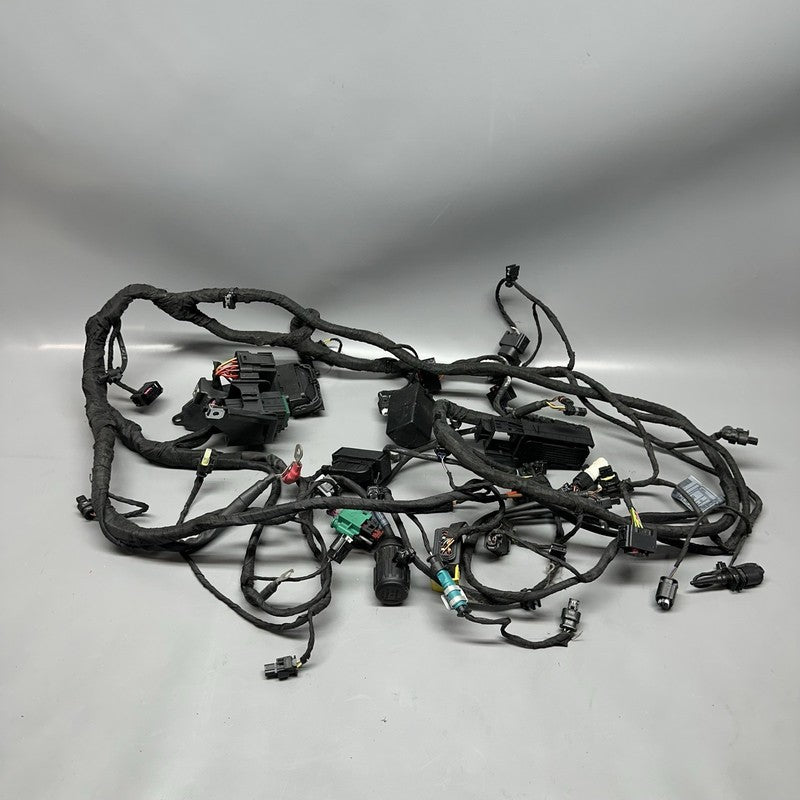 C 650 EVOLUTION BMW C 650 EVOLUTION MAIN WIRING HARNESS 2015 2016 2017 2018 OEM