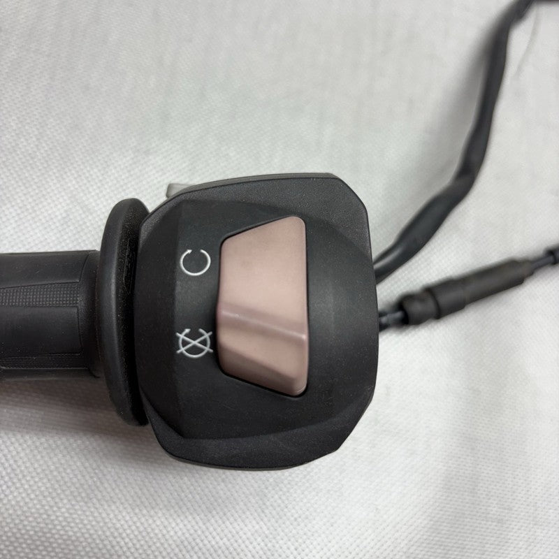 G 310R BMW G 310R HANDLE GRIP WITH SWITCH RIGHT 2016 2017 2018 2019 2020 OEM