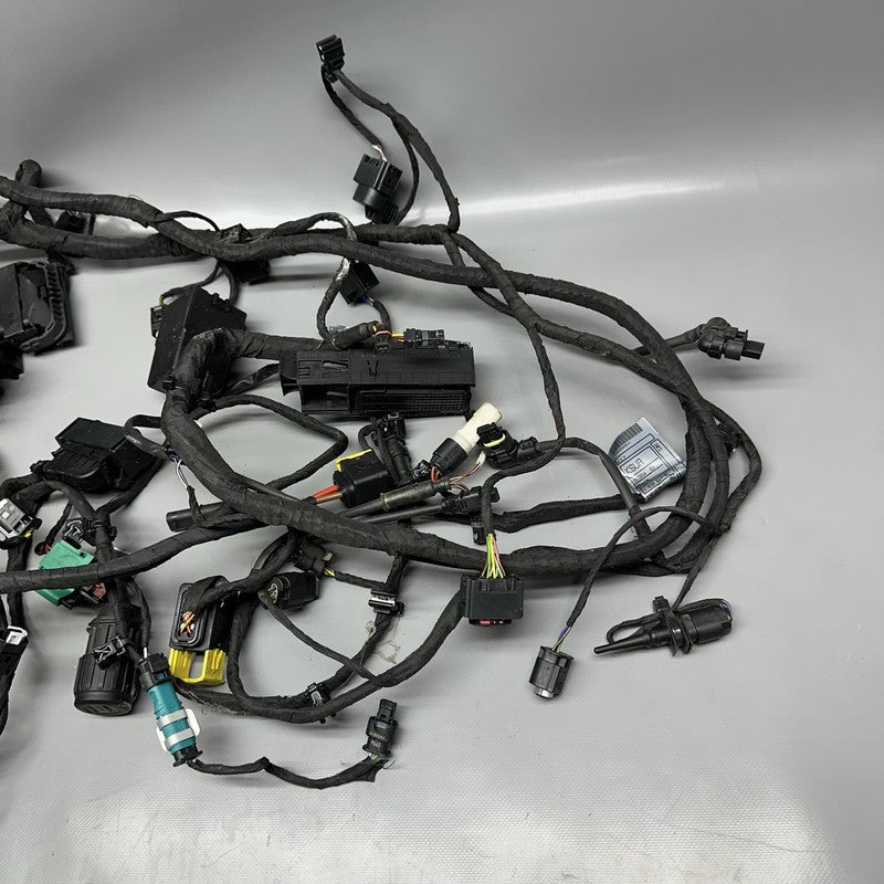 C 650 EVOLUTION BMW C 650 EVOLUTION MAIN WIRING HARNESS 2015 2016 2017 2018 OEM