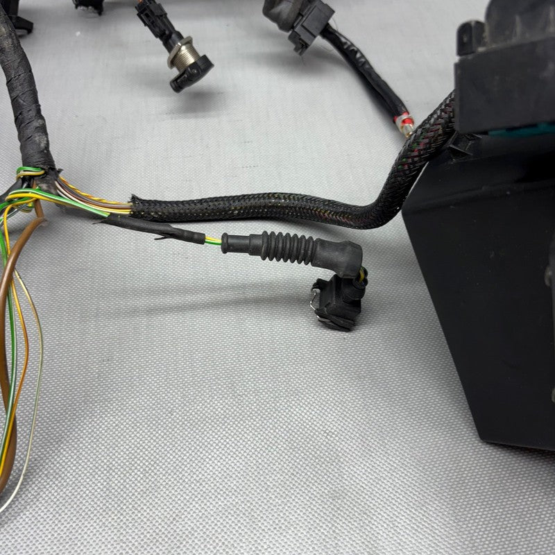 R1150RS BMW R1150RS MAIN ENGINE HARNESS 2002 2003 2004 2005 2006 OEM