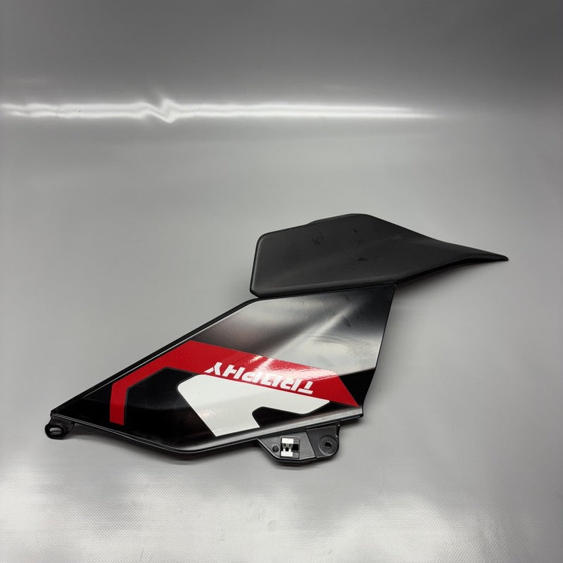 1541494 BMW R1300GS SIDE TRIM PANEL RIGHT FAIRING 2022 2023 2024 OEM 1541494