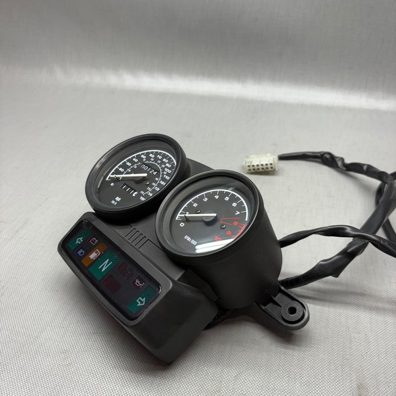 R1150RS BMW R1150RS SPEEDOMETER CLUSTER 2002 2003 2004 2005 2006 OEM