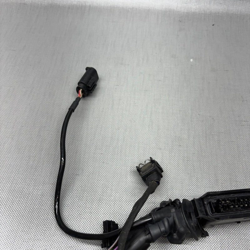 R1150RS BMW R1150RS MAIN ENGINE HARNESS 2002 2003 2004 2005 2006 OEM