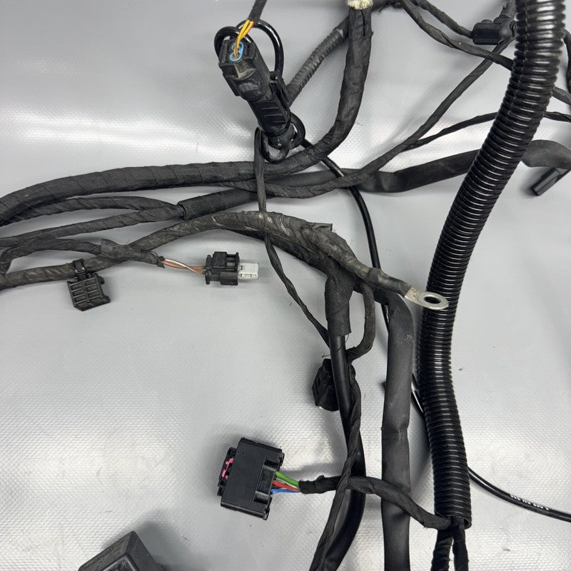 1692821 BMW F900R MAIN ENGINE HARNESS 2020 2021 2022 2023 2024 OEM 1692821