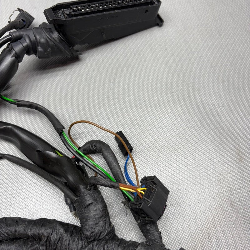 R1150RS BMW R1150RS MAIN ENGINE HARNESS 2002 2003 2004 2005 2006 OEM