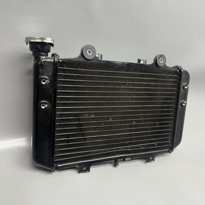 G310GS BMW G310GS RADIATOR 2018 2019 OEM