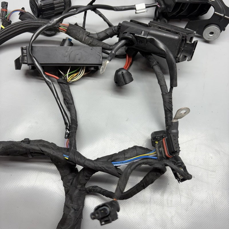 K1300S BMW K1300S MAIN ENGINE WARNESS 2007 2008 2009 2010 2011 2012 2013 2014 2015 OEM