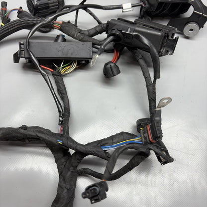 K1300S BMW K1300S MAIN ENGINE WARNESS 2007 2008 2009 2010 2011 2012 2013 2014 2015 OEM
