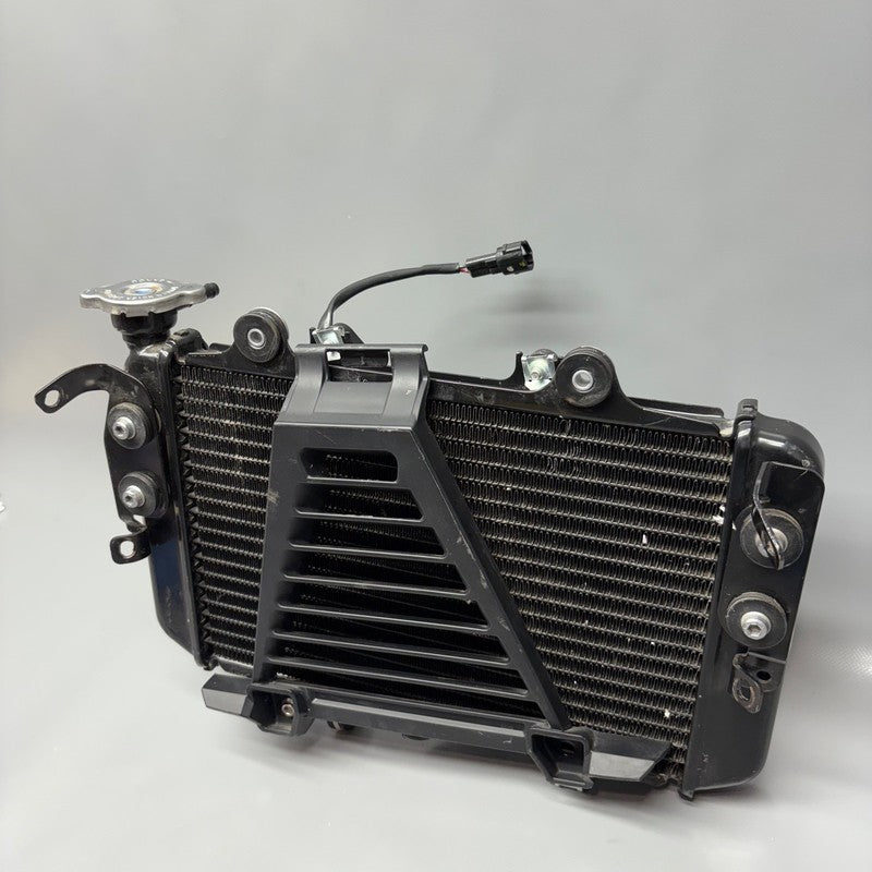 BMW G310R US RADIATOR 2016 2017 2018 2019 2020 OEM 8558350
