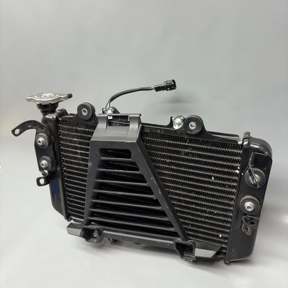 BMW G310R US RADIATOR 2016 2017 2018 2019 2020 OEM 8558350