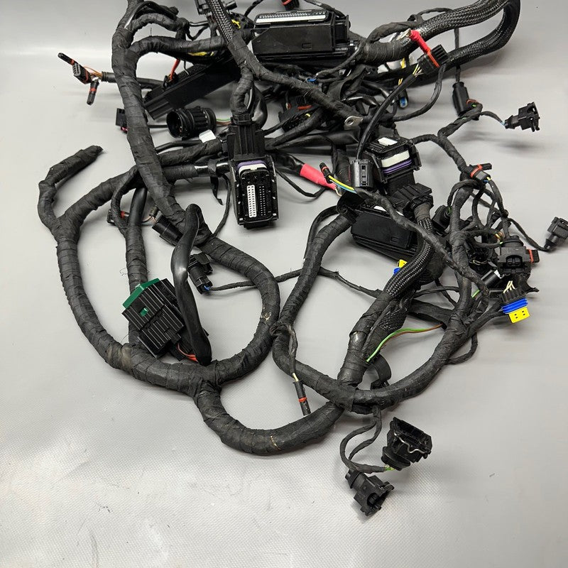 K 1300S BMW K 1300S MAIN ENGINE HARNESS 2007-2011 2012 2013 2014 2015 OEM