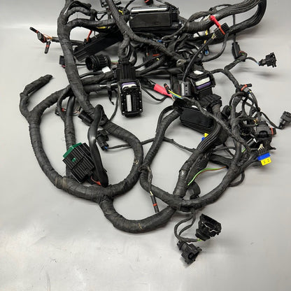 K 1300S BMW K 1300S MAIN ENGINE HARNESS 2007-2011 2012 2013 2014 2015 OEM