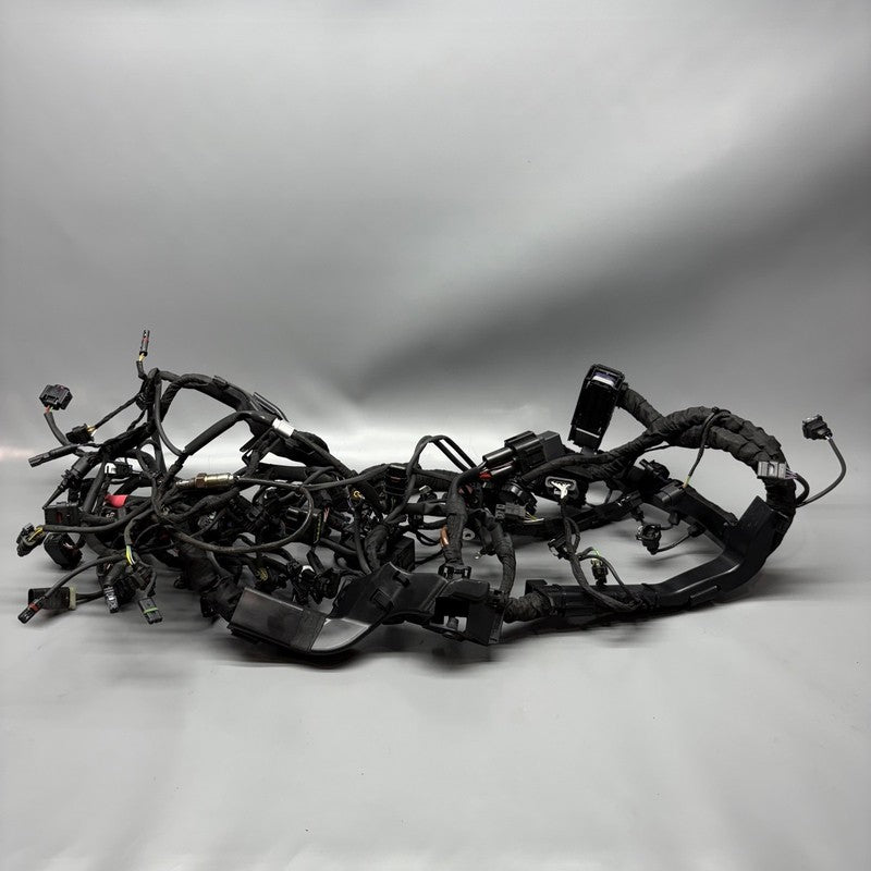 BMW M1000R MAIN WIRING HARNESS 2021 2022 2023 2024 OEM 7105048