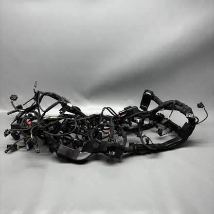 BMW M1000R MAIN WIRING HARNESS 2021 2022 2023 2024 OEM 7105048