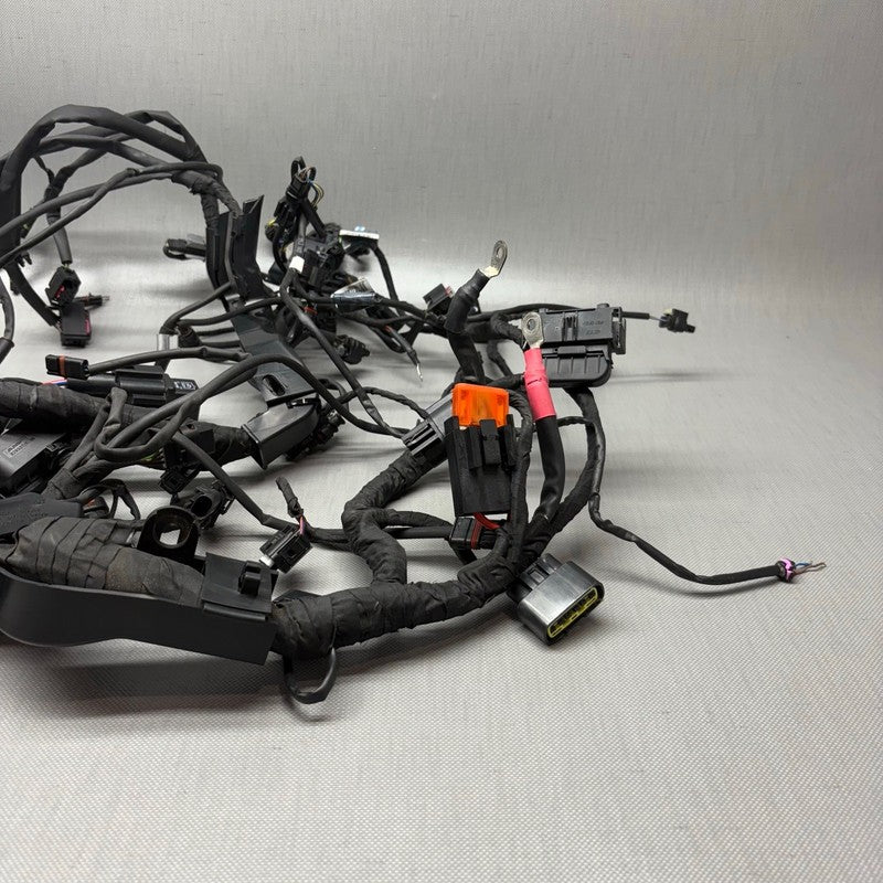 BMW S1000RR MAIN ENGINE WIRING HARNESS 2019 2020 2021 2022 2023 2024 O