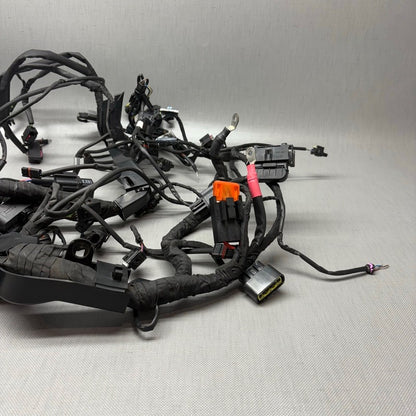 BMW S1000RR MAIN ENGINE WIRING HARNESS 2019 2020 2021 2022 2023 2024 O