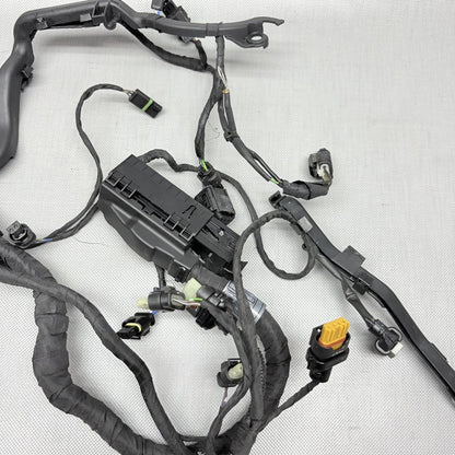 9480230 BMW R1250 GS ENGINE WIRING HARNESS 2018 2019 2020 OEM 9480230