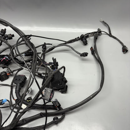 R1300GSA BMW R1300GS ADVENTURE MAIN WIRE HARNESS 2023 2024 2025 OEM 