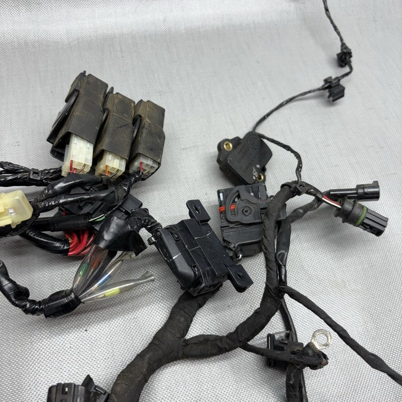 G 310R BMW G 310R MAIN ENGINE HARNESS 2016 2017 2018 2019 2020 OEM