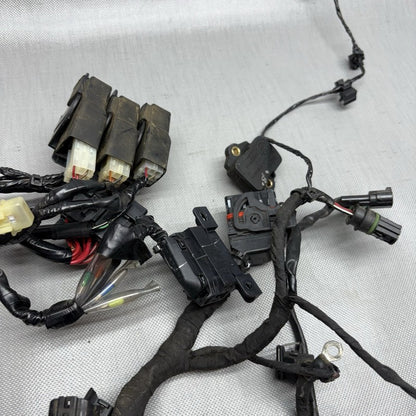 G 310R BMW G 310R MAIN ENGINE HARNESS 2016 2017 2018 2019 2020 OEM