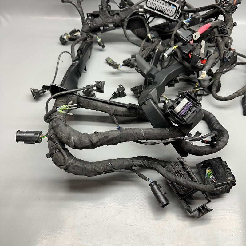 7105049 BMW S1000RR MAIN HARNESS WIRING LOOM 2018 2019 2020 2021 2022 OEM 7105049