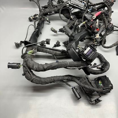 7105049 BMW S1000RR MAIN HARNESS WIRING LOOM 2018 2019 2020 2021 2022 OEM 7105049
