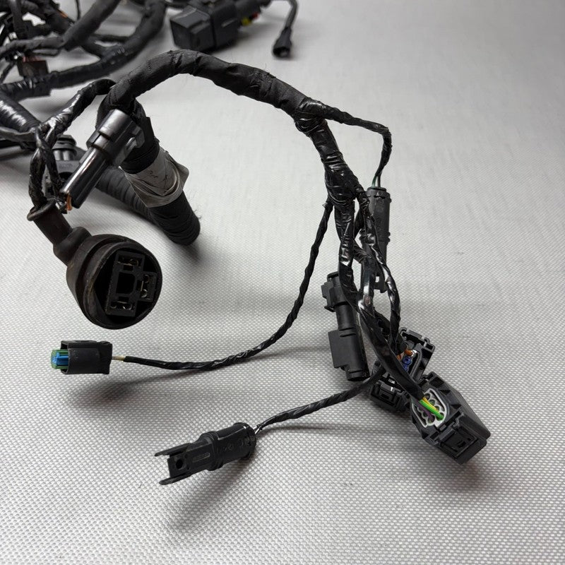 BMW G310R MAIN ENGINE WIRE HARNESS 2017 2018 OEM 8357938