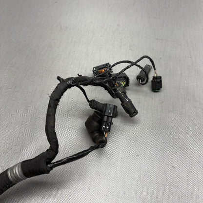 G 310R BMW G 310R MAIN ENGINE HARNESS 2016 2017 2018 2019 2020 OEM