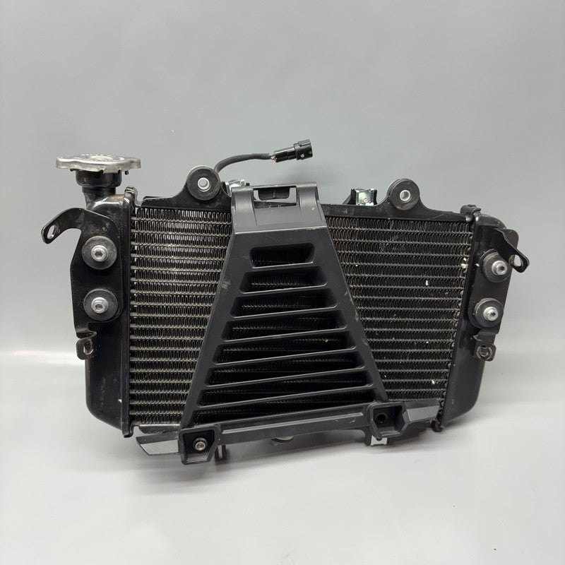 BMW G310R US RADIATOR 2016 2017 2018 2019 2020 OEM 8558350