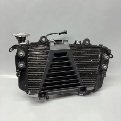 BMW G310R US RADIATOR 2016 2017 2018 2019 2020 OEM 8558350