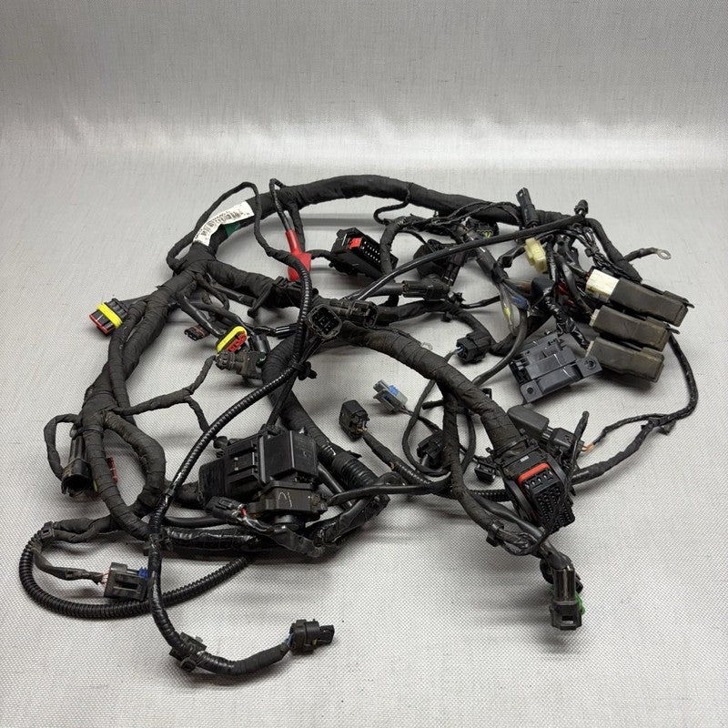 G 310R BMW G 310R MAIN ENGINE HARNESS 2016 2017 2018 2019 2020 OEM