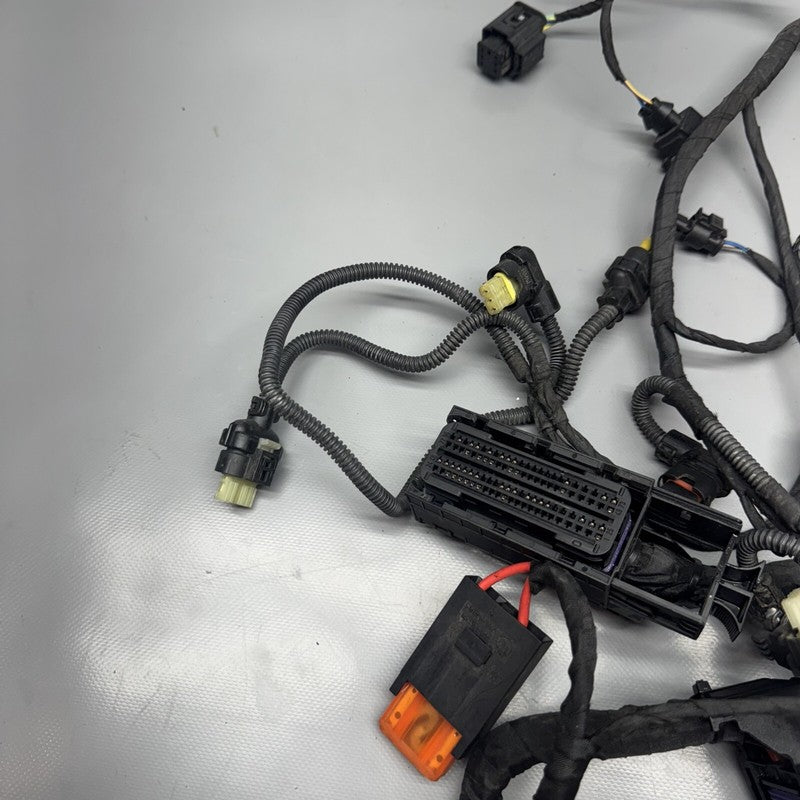 1692821 BMW F900R MAIN ENGINE HARNESS 2020 2021 2022 2023 2024 OEM 1692821