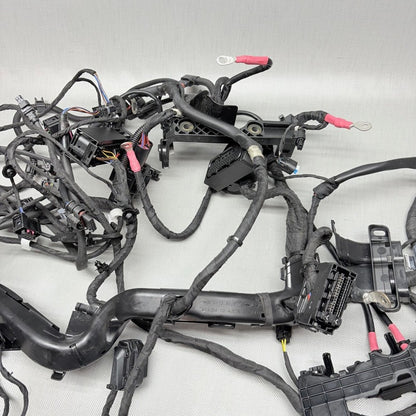 BMW R1250GS MAIN WIRING HARNESS 2018 2019 2020 2021 2022 2023 OEM 9480