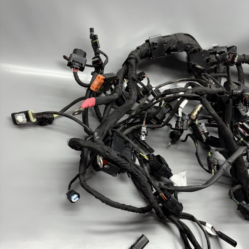 7105048 BMW M1000R MAIN WIRING HARNESS 2021 2022 2023 2024 OEM 7105048