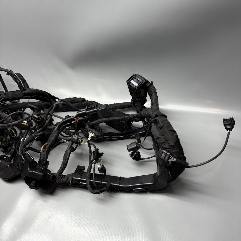 7105048 BMW M1000R MAIN WIRING HARNESS 2021 2022 2023 2024 OEM 7105048