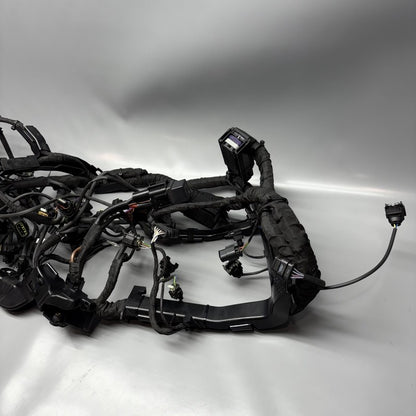 7105048 BMW M1000R MAIN WIRING HARNESS 2021 2022 2023 2024 OEM 7105048