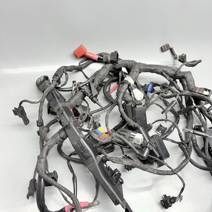 R1200GS BMW R1200GS MAIN WIRE HARNESS 2009 2010 2011 2012 2013 OEM  