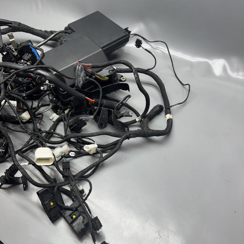 K 1200LT BMW K 1200LT MAIN HARNESS 2005 2006 2007 2008 OEM