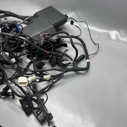 K 1200LT BMW K 1200LT MAIN HARNESS 2005 2006 2007 2008 OEM