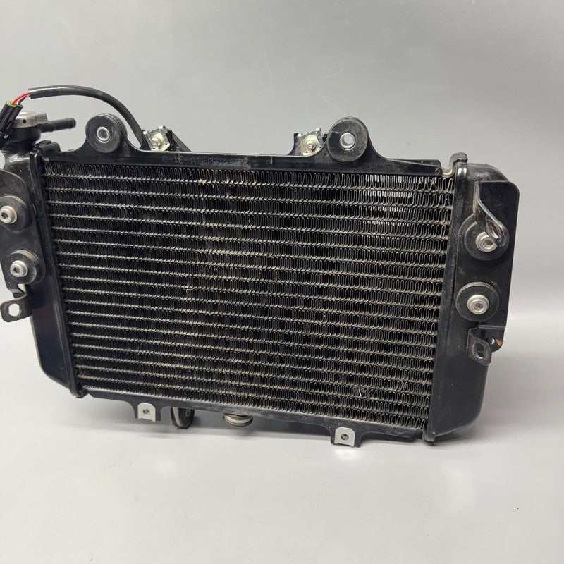 8558350 BMW G310 R RADIATOR 2016 2017 2018 2019 2020 OEM 8558350