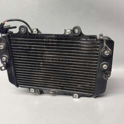 8558350 BMW G310 R RADIATOR 2016 2017 2018 2019 2020 OEM 8558350