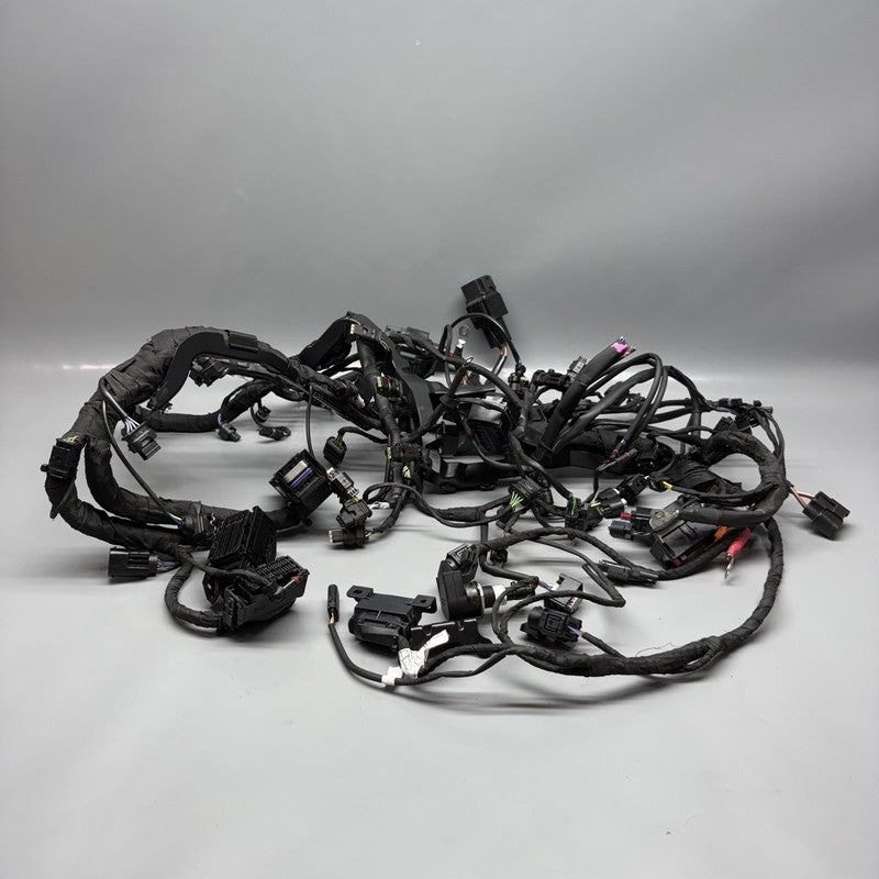 7108539 BMW S1000RR MAIN ENGINE WIRING 2019 2020 2021 2022 2023 2024 OEM 7108539 CUT